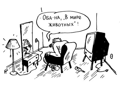   : 